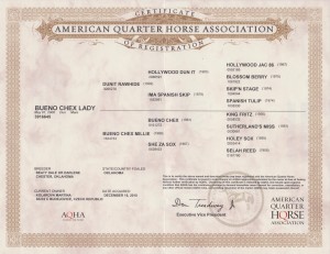 Bueno certifikat